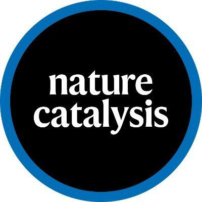 Unlocking Nature’s Catalysts in Your Diet