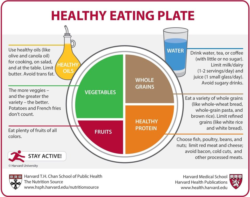 How to Build a Balanced Diet for Long-Term Health