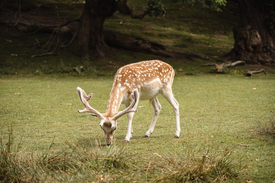 Understanding the Environmental Impact of Plant-Based Eating