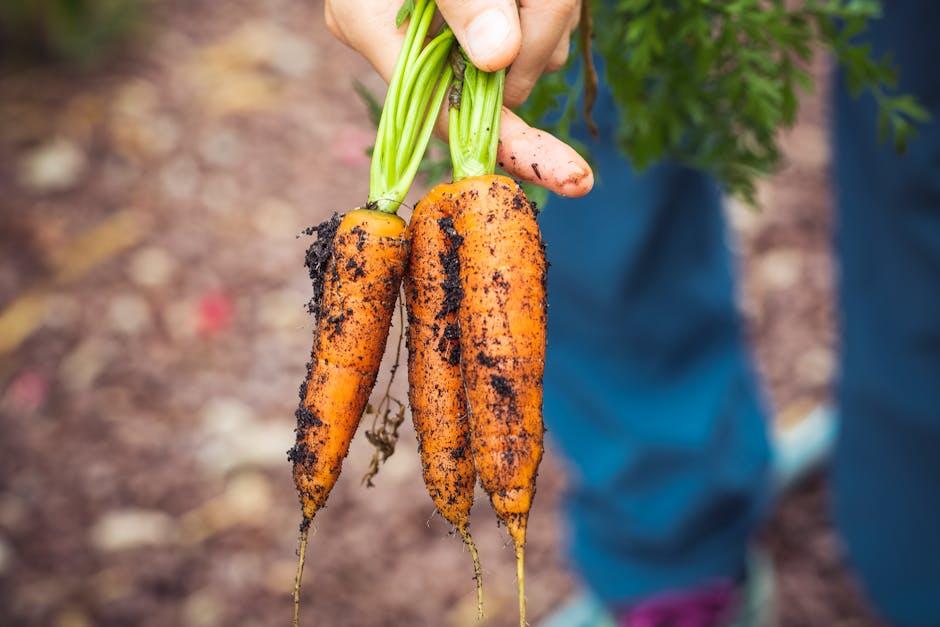 Nutrient Showdown Fresh vs Frozen Vegetables