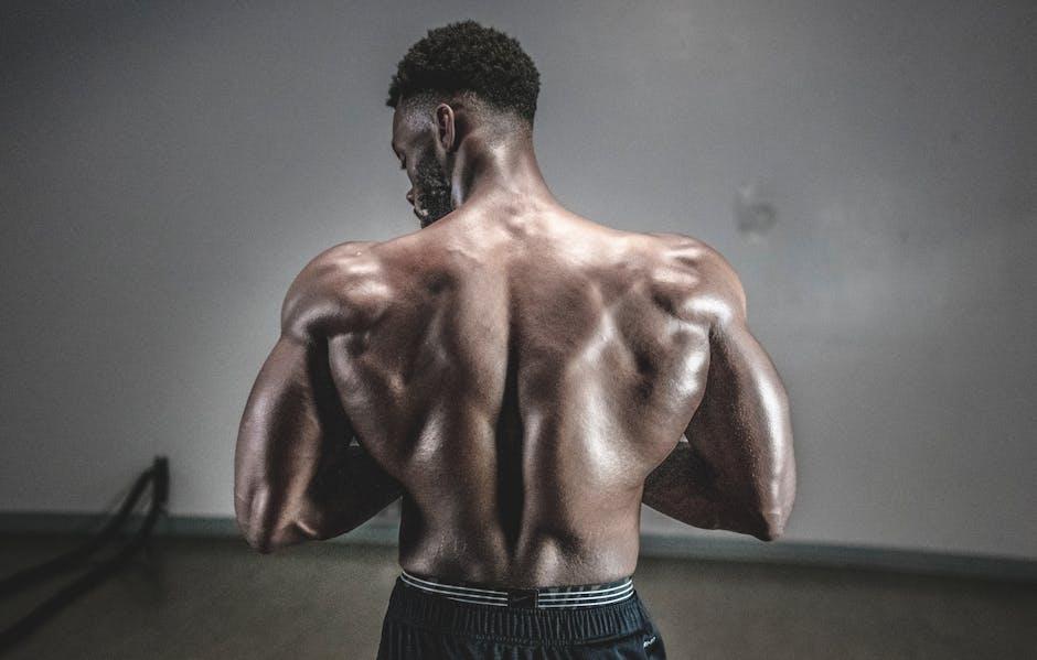 Top Exercises for Building Lower Back Strength