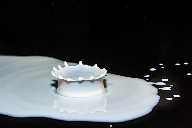 The Role‍ of Fermented Dairy in⁣ Promoting Digestive Wellness