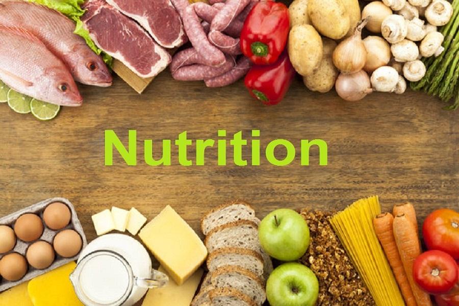 Fueling Your‍ Body: Nutrition ⁢Tips for Sustained Energy