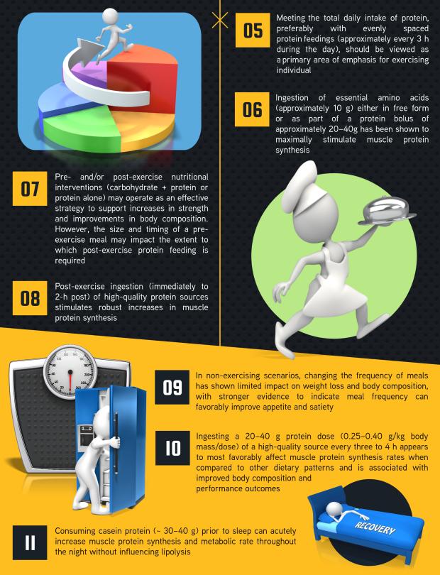 Harnessing Nutrient Timing: Aligning Intake with Activity Levels