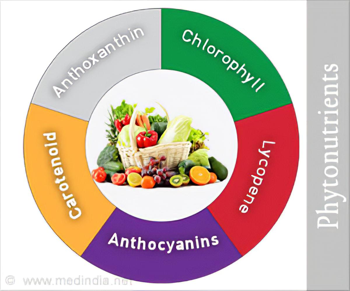 Cultivating a Phytonutrient-Rich Lifestyle