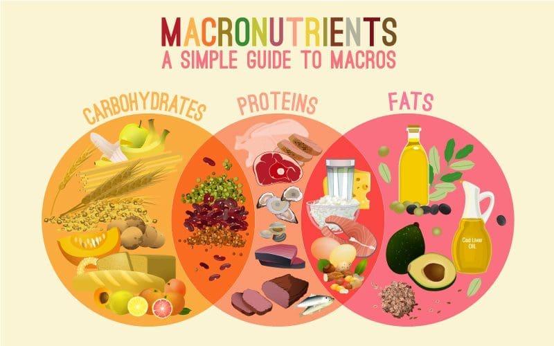 The Role of Macronutrients: Balancing for Breakthroughs